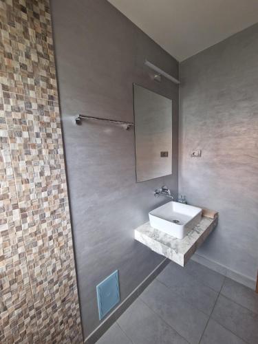 a bathroom with a sink and a mirror at Poarta Apelor in Sarichioi