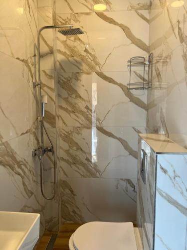 a bathroom with a shower and a toilet and a sink at Darius Lux Apartments in Paralia Katerinis