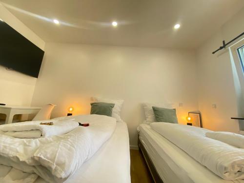 two beds in a small room with white walls at Lux Apartment near Frankfurt! in Mörfelden-Walldorf