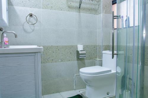 a bathroom with a toilet and a sink and a shower at Elegant 2 BR Apartment Kileleshwa - Free Netflix, Parking, Superfast WIFI, Views of Arboretum in Nairobi