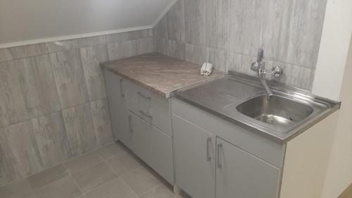 a small kitchen with a sink and a counter at Green sanctuary 30 min from downtown Belgrade in Donja Ralja