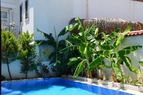 een zwembad in een tuin met planten bij Kybele Alaçatı in Izmir
