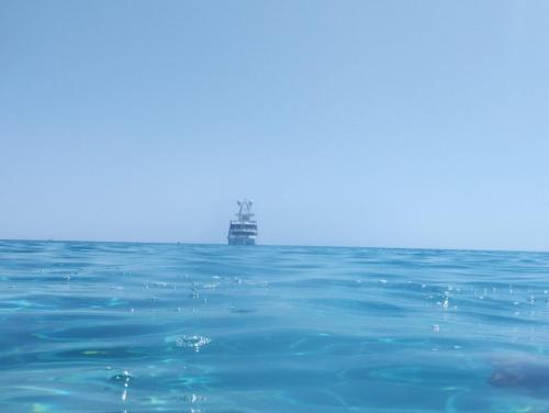 Φυσικό τοπίο κοντά σε αυτό το διαμέρισμα