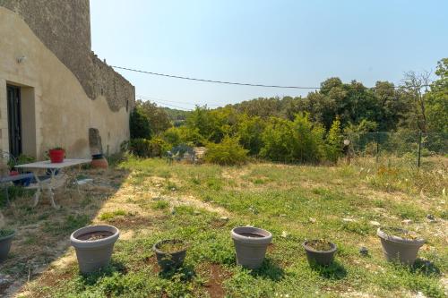 a yard with some plants in the grass at L'Amaryflor in Vaugines