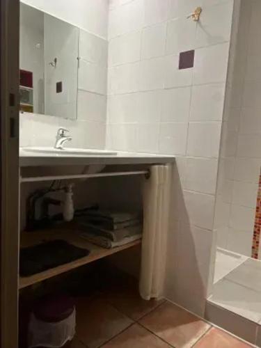 une salle de bain avec un lavabo et un miroir dans l'établissement Maison spacieuse à Castellane avec jardin et vue montagne, à Castellane