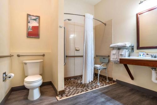 a bathroom with a toilet and a sink and a shower at Comfort Inn & Suites in Crestview