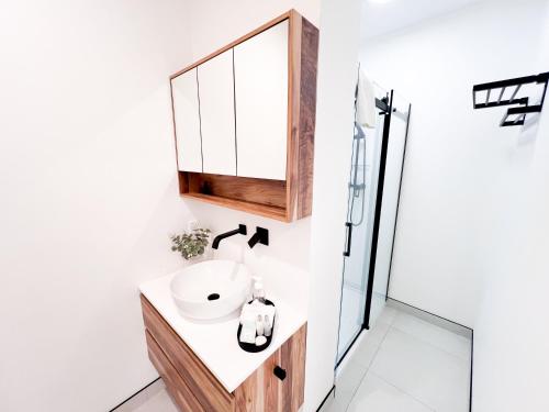 オークランドにあるDesigner Apartmentの洗面台と鏡のあるバスルーム