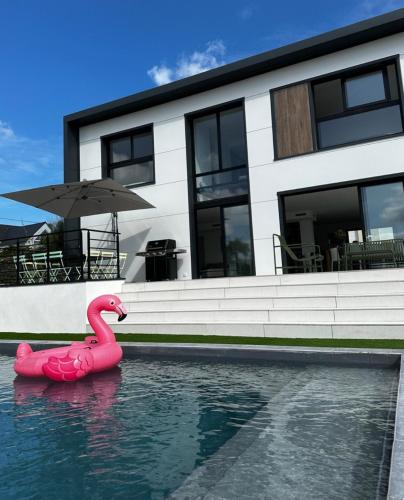 un cygne rose dans une piscine en face d'une maison dans l'établissement Villa Poppy - piscine, proche plage, à Roscoff