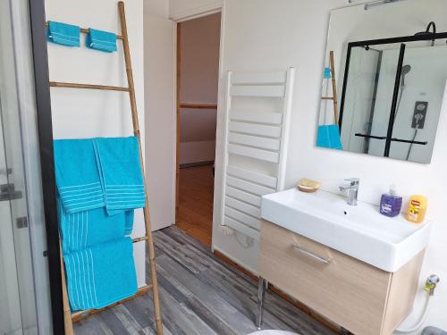 une salle de bain avec un lavabo et un miroir dans l'établissement Appartement calme paisible, à Pérenchies