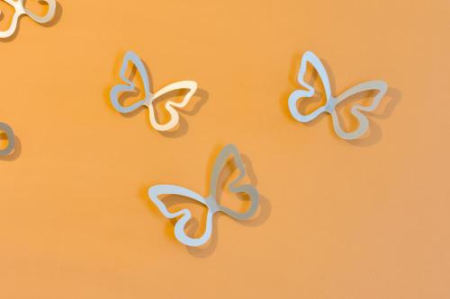 un groupe de biscuits papillons sur fond orange dans l'établissement Pacifico Turin studio, à Turin