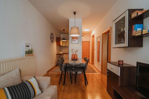 Apartman II u centru grada