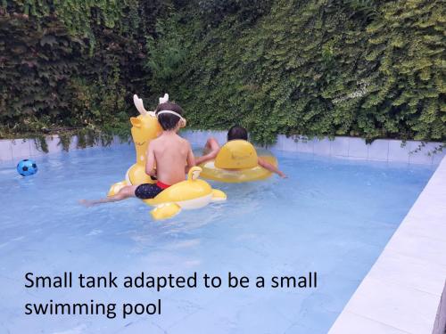 2 bambini che cavalcano anatre di gomma in una piscina di Casa do Crasto ad Amarante