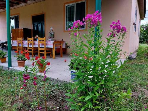 a patio with a table and flowers in front of a house at Mammadaghali rental house in Mǝmmǝdağalı