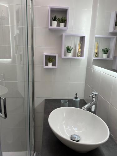 a bathroom with a sink and a glass shower at The view apartment in Nevegal