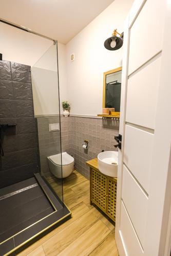 a bathroom with a shower and a toilet and a sink at IoanaGuestHouse in Turda
