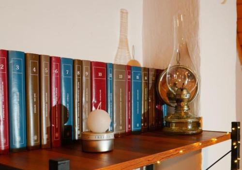 a book shelf with a egg and a globe on it at Pineview House in Kolašin