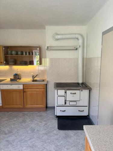 a kitchen with a stove and a sink at Ferienwohnung Die Möll in Latzendorf