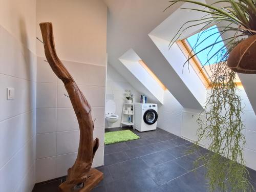 a bathroom with a toilet and a washer and dryer at Ferienwohnung Traismauer in Wagram ob der Traisen