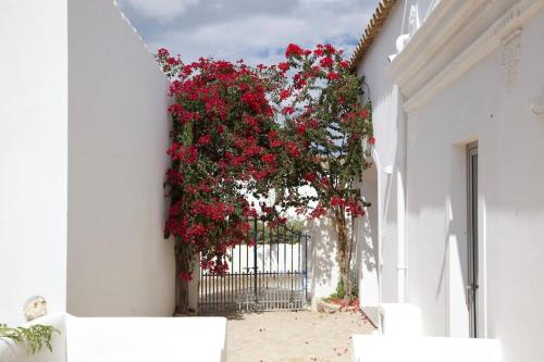 Amazing Apartments Olhao, with pool, beach close