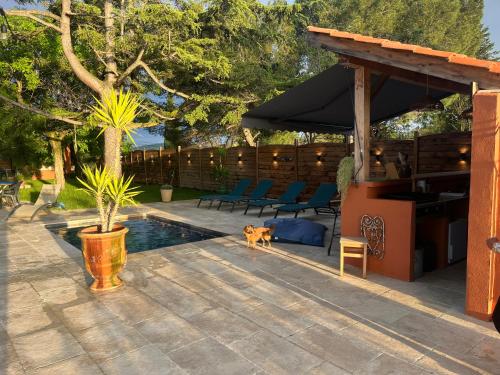 un chien debout à côté d'une piscine dans un jardin dans l'établissement Le mazet de fabrègues, à Fabrègues