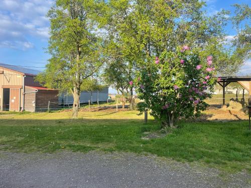 Zahrada ubytování Gîte Ferme équestre