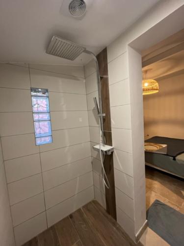 a bathroom with a shower in a room with a window at Le mazet de fabrègues in Fabrègues