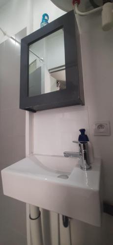 La salle de bains est pourvue d'un lavabo et d'un miroir. dans l'établissement Studio place Roger Levanneur, à Montmorency