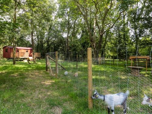 The Foxes Den Shepherds Hut photo 17