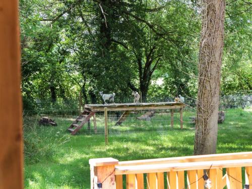 The Foxes Den Shepherds Hut photo 16
