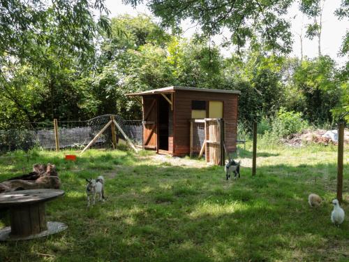 The Foxes Den Shepherds Hut photo 25