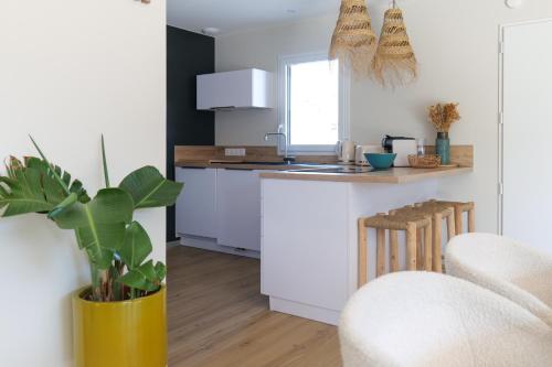 Η κουζίνα ή μικρή κουζίνα στο Superbe maison vue mer Jard Sur Mer - 7 personnes