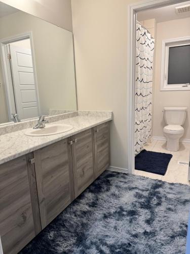a bathroom with a sink and a toilet at Top of the Chain Home Palace- CA in Thorold