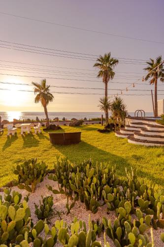 a field with cacti and palm trees on the beach at Le Village Aewol G in Jeju
