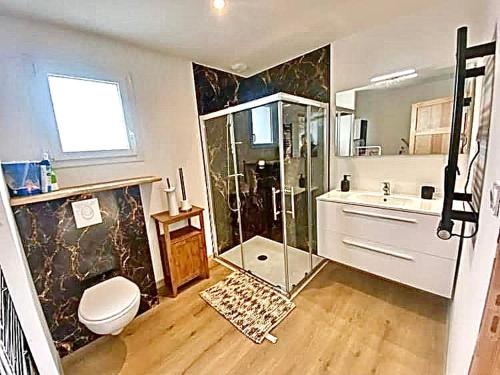 une salle de bain avec une douche, des toilettes et un lavabo dans l'établissement La villa de Porsguen et des crustacés - Plouescat, à Plouescat