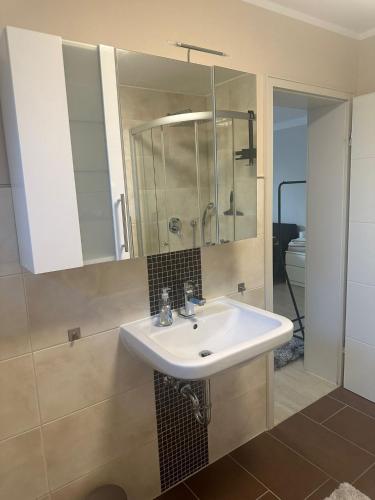 a bathroom with a sink and a shower at Ferienwohnung Trier Ruwer Mosel in Trier
