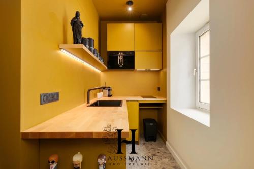 a kitchen with yellow walls and a sink and a counter at Magnifique Appartement Hypercentre Place Stanislas Nancy in Nancy