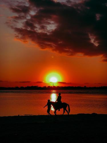 a person riding a horse on the beach at sunset at Leaf Coco Bungalow in Gili Air