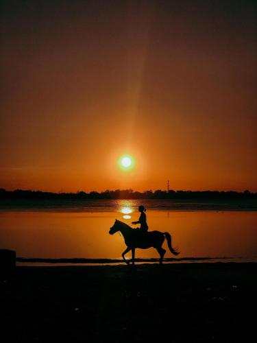 a person riding a horse on the beach at sunset at Leaf Coco Bungalow in Gili Air