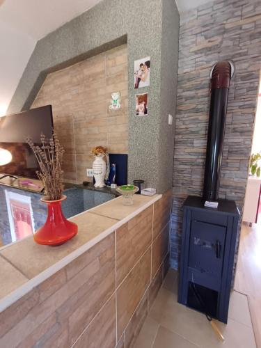 a kitchen with a counter with a stove at Apartman Denis Una in Lužine