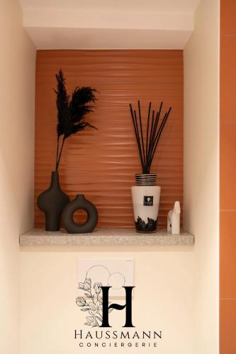 a shelf with potted plants on top of it at Magnifique Appartement Hypercentre Place Stanislas Nancy in Nancy