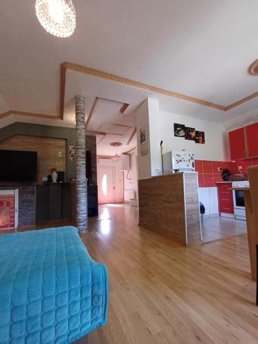 a large room with a kitchen and a living room at Apartman Denis Una in Lužine
