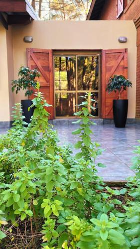 a front door of a house with potted plants at Sonidos Del Bosque in Mar de las Pampas