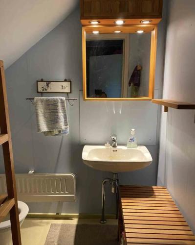 ein Badezimmer mit Waschbecken und Spiegel in der Unterkunft Soludden in Raseborg