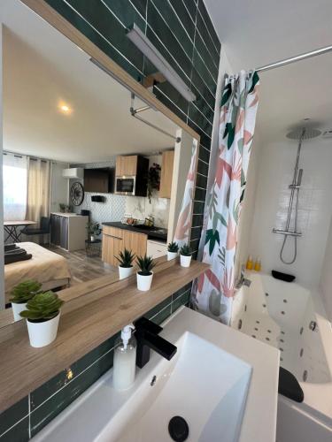 タッサン・ラ・ドゥミ・リュンヌにあるTrendy love Balnéoの部屋にキッチンと洗面台付きのバスルームがある