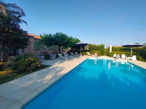 une grande piscine bleue avec chaises et parasols dans l'établissement Villa l'Olivaie, à Draguignan