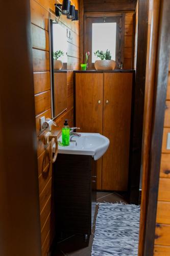 a bathroom with a sink and a mirror at Gothes Chalet Javier in Ponte de Vagos