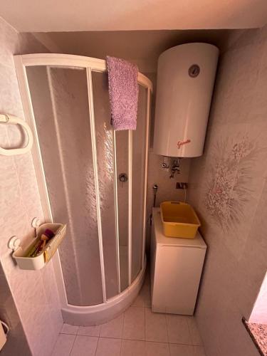 a small bathroom with a shower and a toilet at La Casa di Theo in Padola