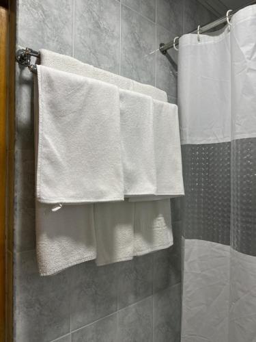 a bathroom with white towels hanging in a shower at Verin Tun in Dilijan