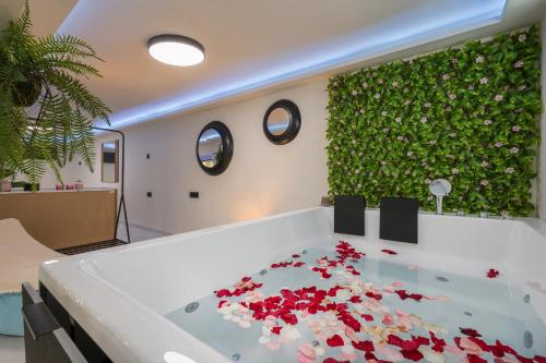 Suite Dreams