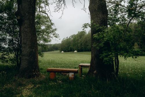 Gallery image of Glamping U Lesa in Rychnov nad Kněžnou